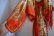 画像10: 70年代オレンジ×ゴールド×ホワイトオリエンタル柄シャーリング切替ラウンドネックデザインスリーブ半袖スカーフリメイクドレス