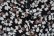 画像12: ブラック×ホワイト花柄Vネック半袖レーヨンオールインワン (12)