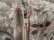 画像16: 60〜70年代ライトグレー×オフホワイト×ベイビーピンク花柄シャーリング切替リボン付きレースラウンドネックノースリーブドレス