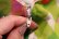 画像12: 60〜70年代グリーン×ピンク花柄＆チェックVネック半袖ドレス
