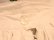 画像10: 50〜60年代ホワイト×カラフルニワトリ柄フレアスカート
