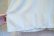 画像9: ペールグリーン×ホワイトピンチェックレース襟＆飾りボタン＆ウエストリボン付きクルーネック半袖レーヨンドレス