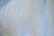 画像10: ペールグリーン×ホワイトピンチェックレース襟＆飾りボタン＆ウエストリボン付きクルーネック半袖レーヨンドレス