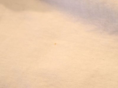画像1: 50〜60年代ホワイト×カラフルニワトリ柄フレアスカート