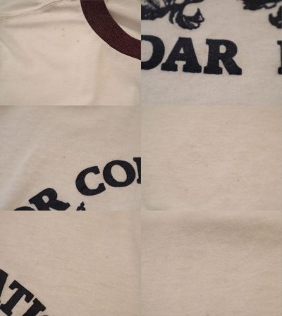 画像1: ホワイト×パープル×ネイビーリス＆英字ロゴプリントクルーネック半袖リンガーTシャツ