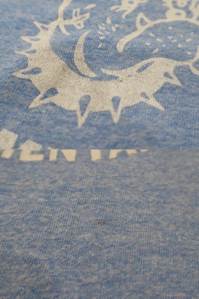 画像1: ライトブルー×ネイビー×ブラウン犬＆英字ロゴプリントクルーネック半袖リンガーTシャツ