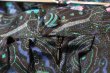 画像14: ブラック×ライトグリーン×パープル花柄サテン＆ビーズ刺繍テープ裾レース付きティアードチロルスカート (14)